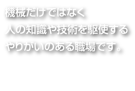 機械だけではなく人の知識や技術を駆使するやりがいのある職場です。平 沼　享 （製造／1996年入社）